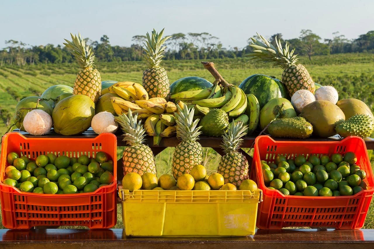 tropical fruits