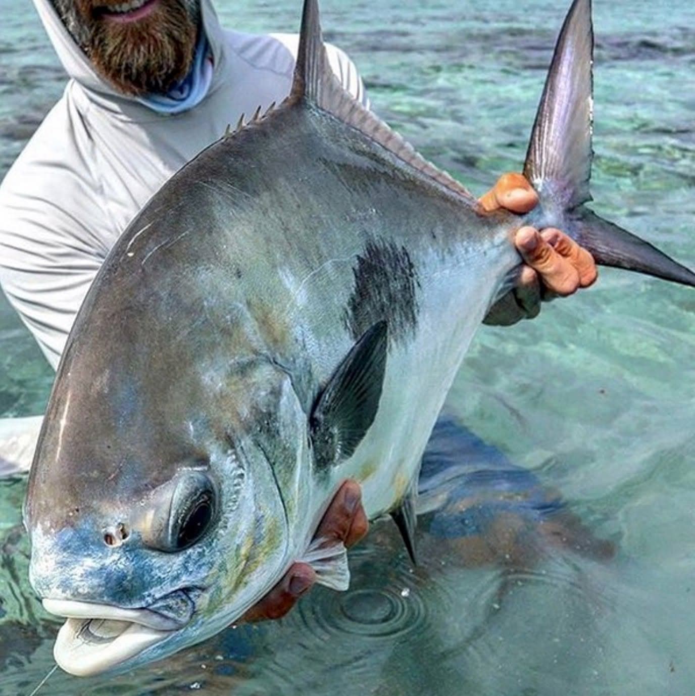fly fishing trips